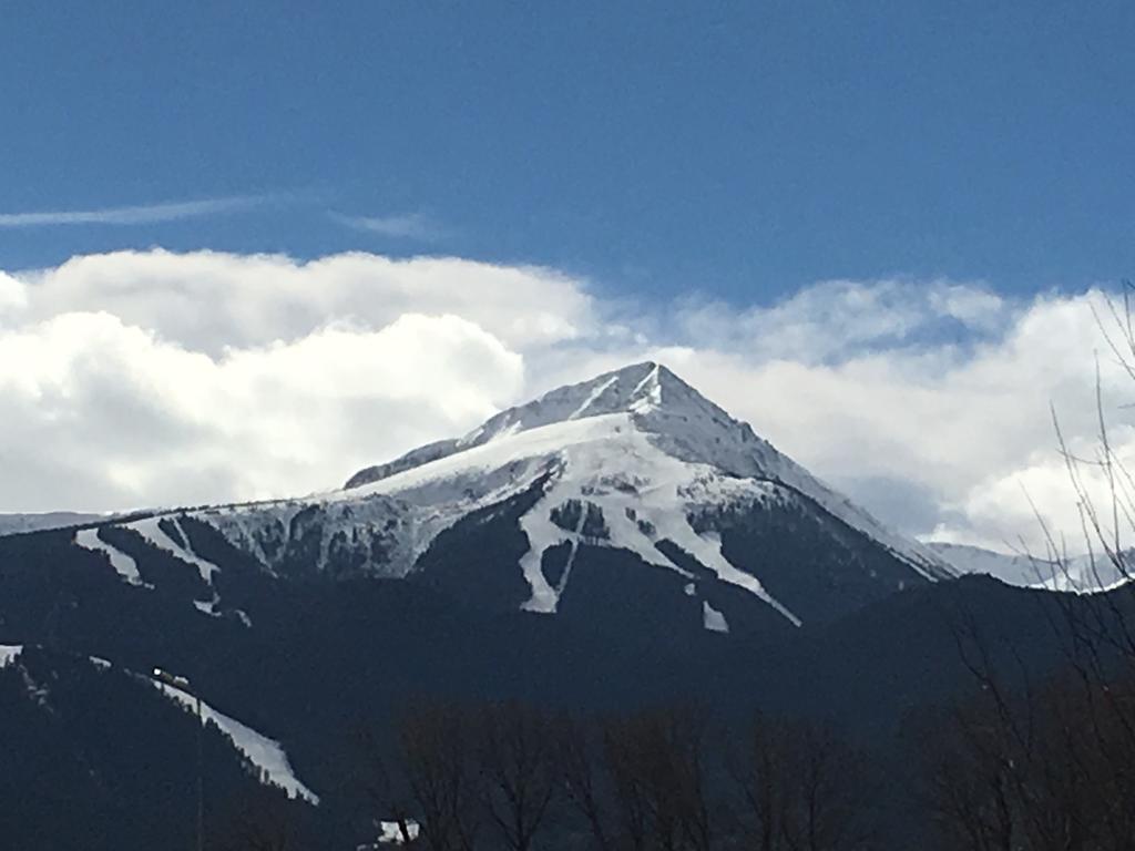 Entire Private Apartment In Pirin Golf & Country Club Bansko Eksteriør bilde